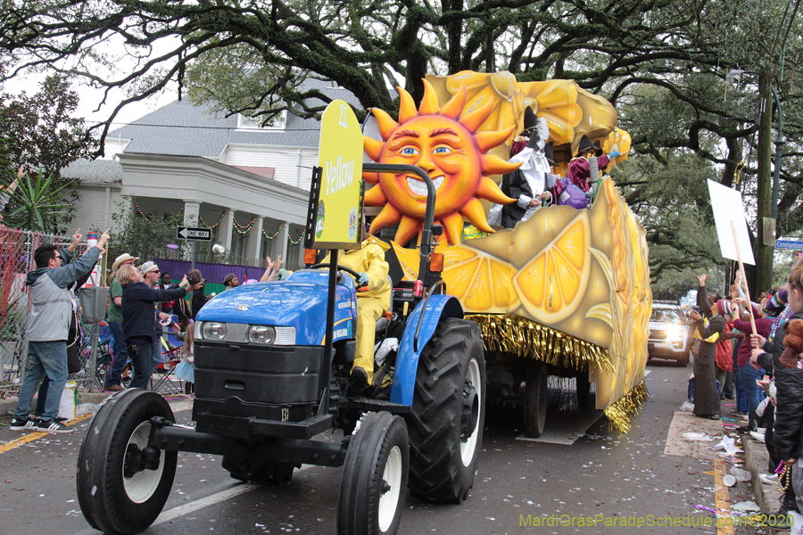 Krewe-of-Carrollton-2020-03617