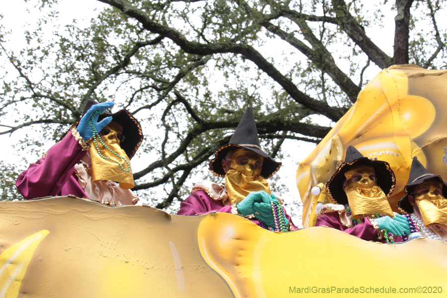 Krewe-of-Carrollton-2020-03620