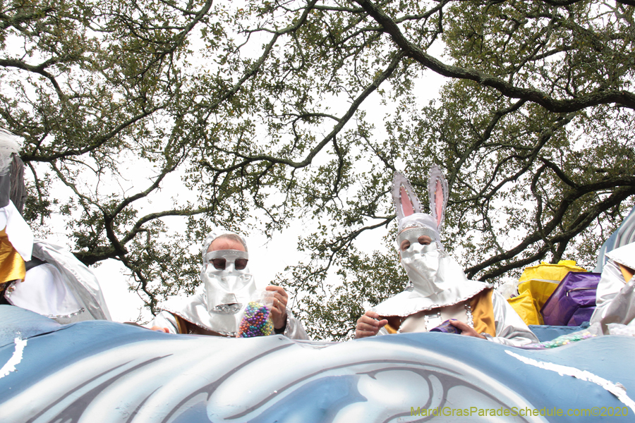 Krewe-of-Carrollton-2020-03629