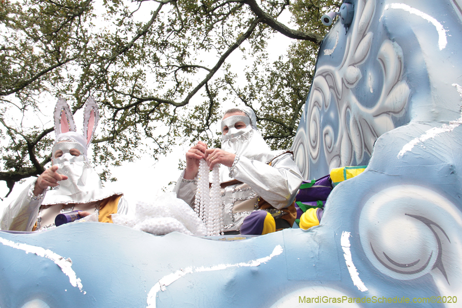 Krewe-of-Carrollton-2020-03630