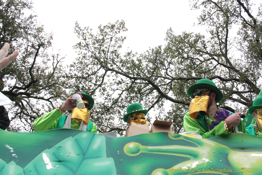 Krewe-of-Carrollton-2020-03641