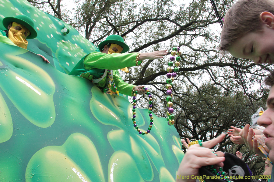 Krewe-of-Carrollton-2020-03647