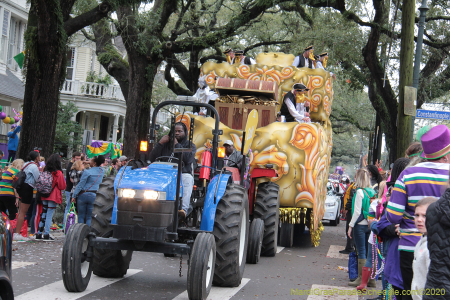 Krewe-of-Carrollton-2020-03655