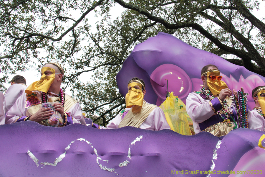 Krewe-of-Carrollton-2020-03679