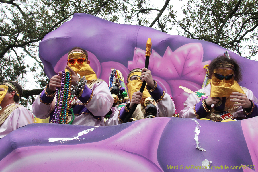 Krewe-of-Carrollton-2020-03680