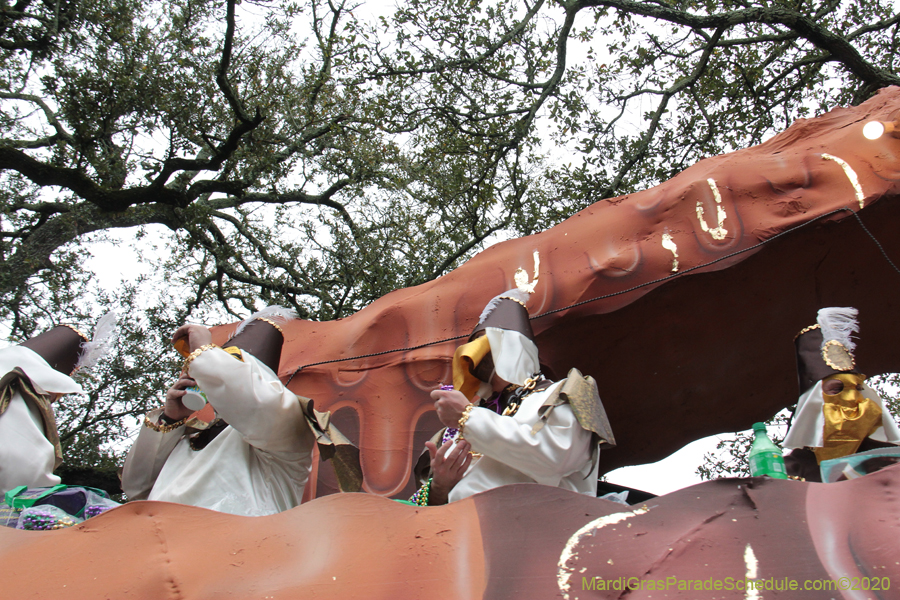 Krewe-of-Carrollton-2020-03689