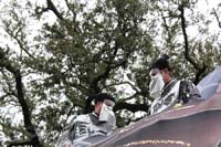 Krewe-of-Carrollton-2020-03588