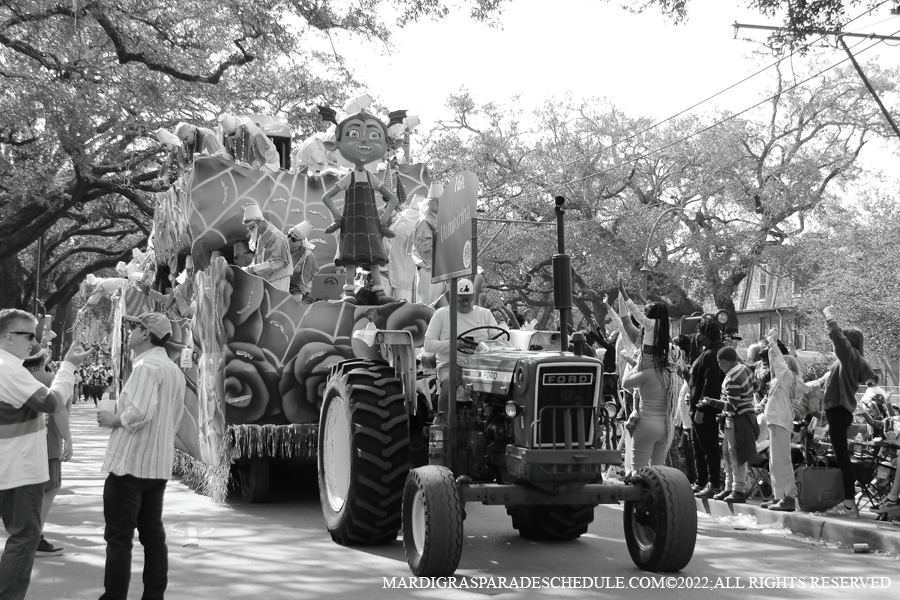 Krewe-of-Carrollton-00130-2022