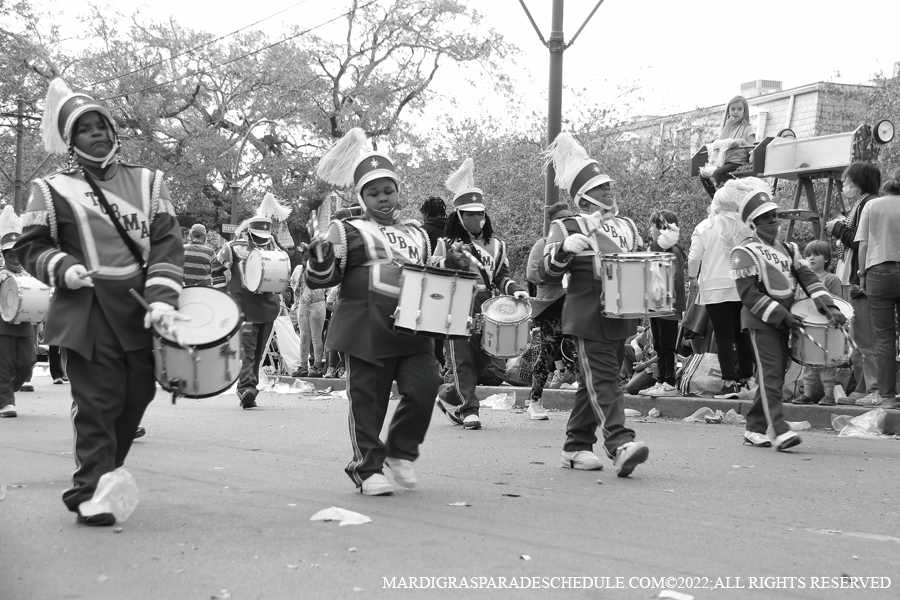 Krewe-of-Carrollton-00210-2022