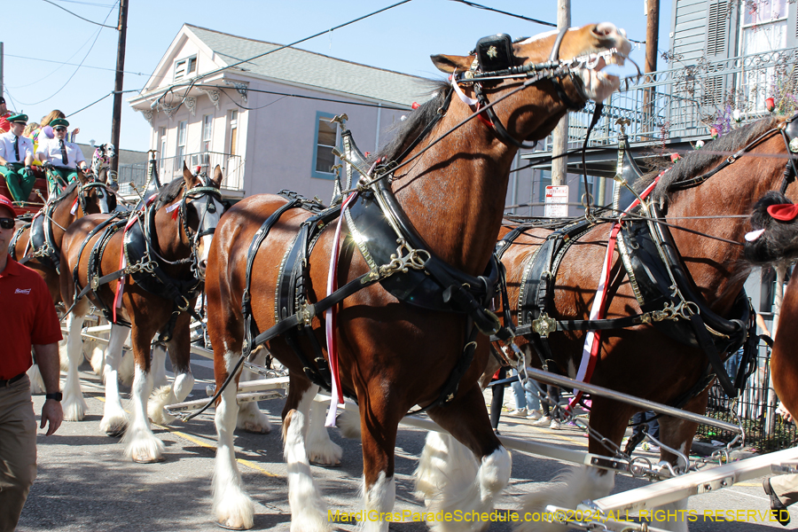 2024-Krewe-of-Carrollton-10740