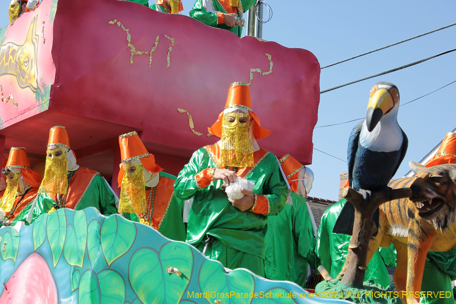 2024-Krewe-of-Carrollton-10848