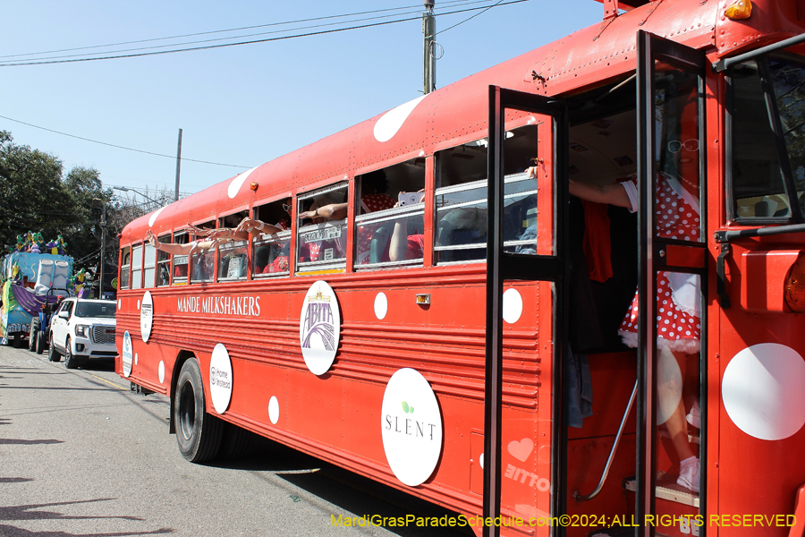 2024-Krewe-of-Carrollton-10861