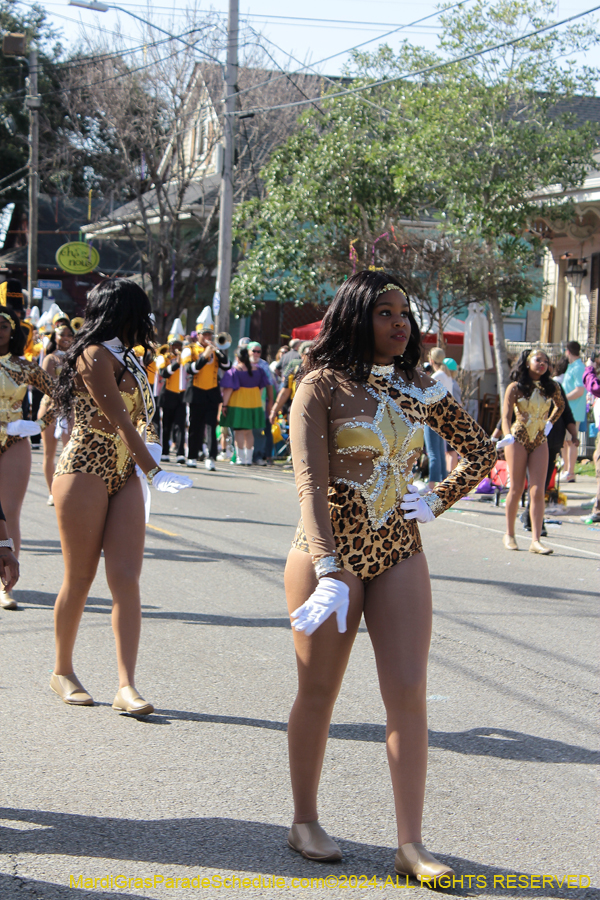 2024-Krewe-of-Carrollton-10983