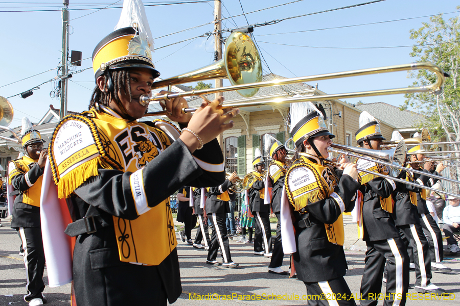 2024-Krewe-of-Carrollton-10985