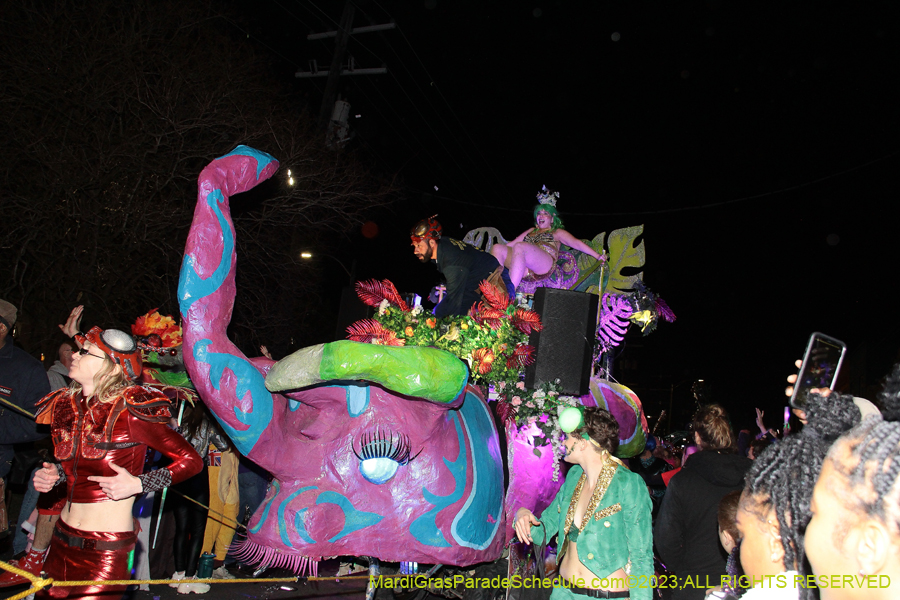 2023-IKO-Chewbacchus-01144