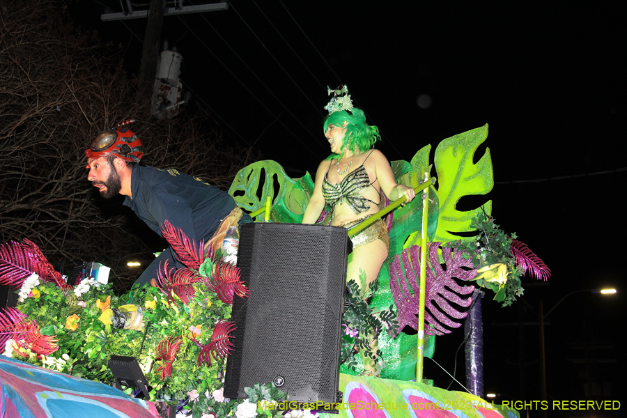 2023-IKO-Chewbacchus-01145