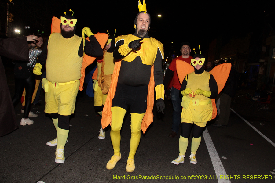 2023-IKO-Chewbacchus-01332