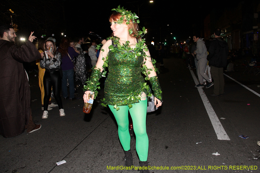 2023-IKO-Chewbacchus-01341