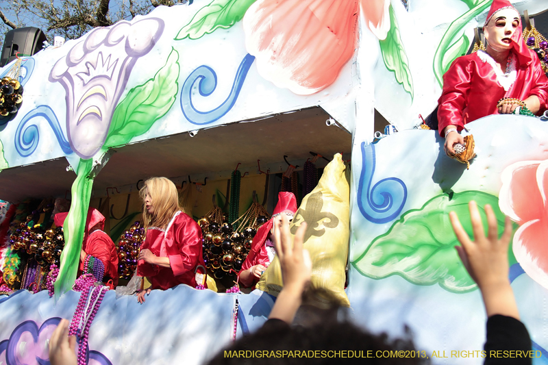 Krewe-of-Choctaw-2013-1174