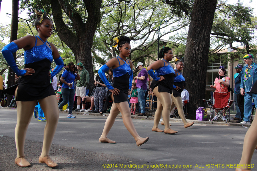 2014-Krewe-of-Choctaw11131