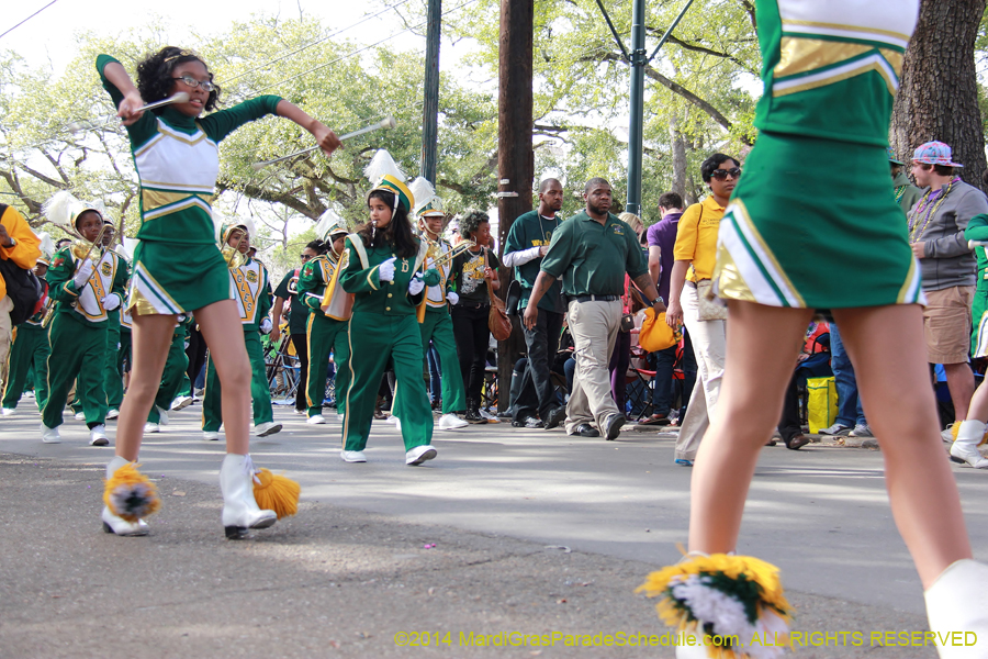 2014-Krewe-of-Choctaw11144