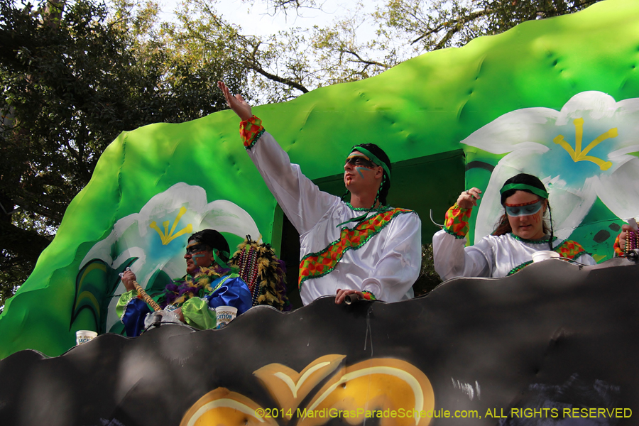 2014-Krewe-of-Choctaw11153