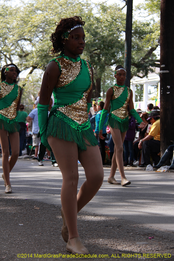 2014-Krewe-of-Choctaw11157