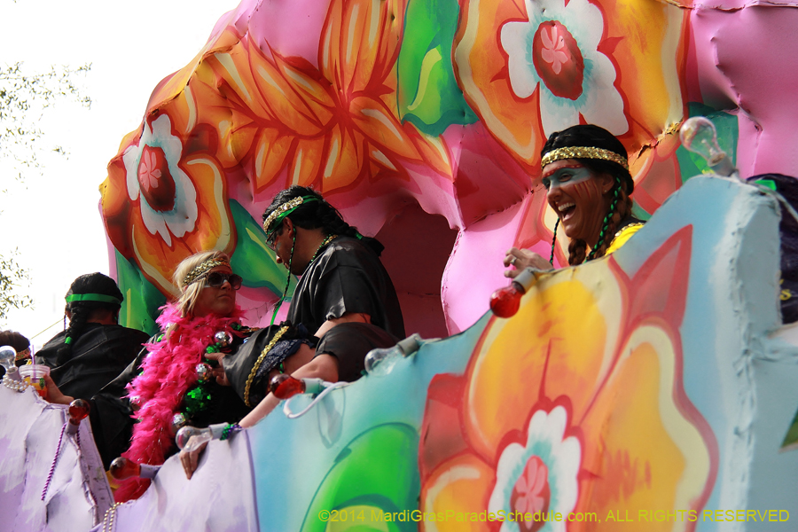 2014-Krewe-of-Choctaw11189