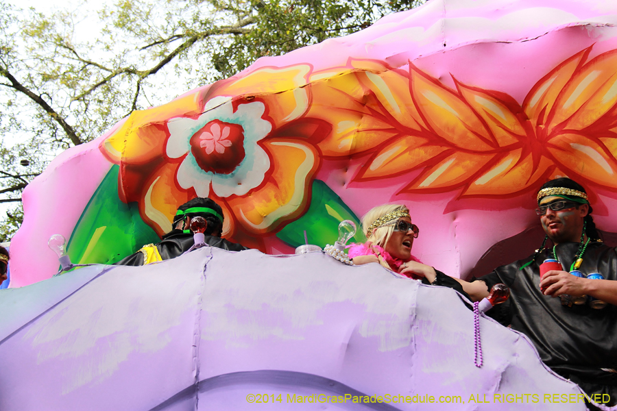 2014-Krewe-of-Choctaw11192