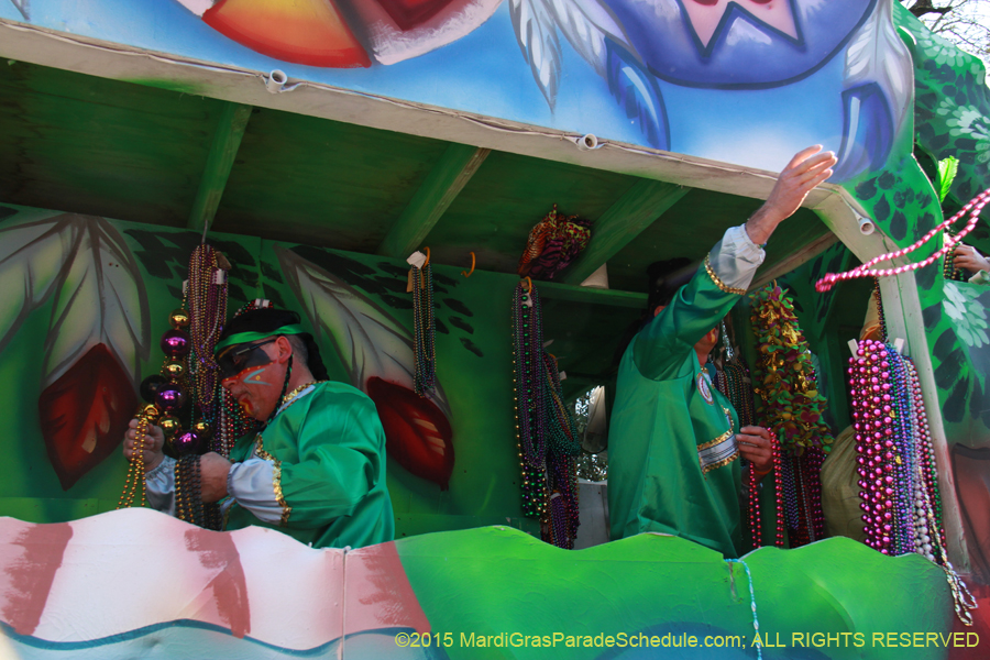 Krewe-of-Choctaw-2015-11203