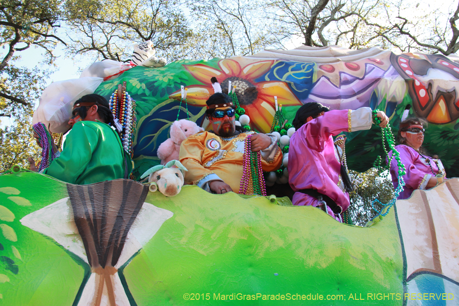 Krewe-of-Choctaw-2015-11206