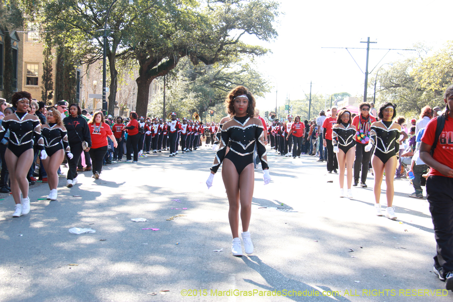 Krewe-of-Choctaw-2015-11210