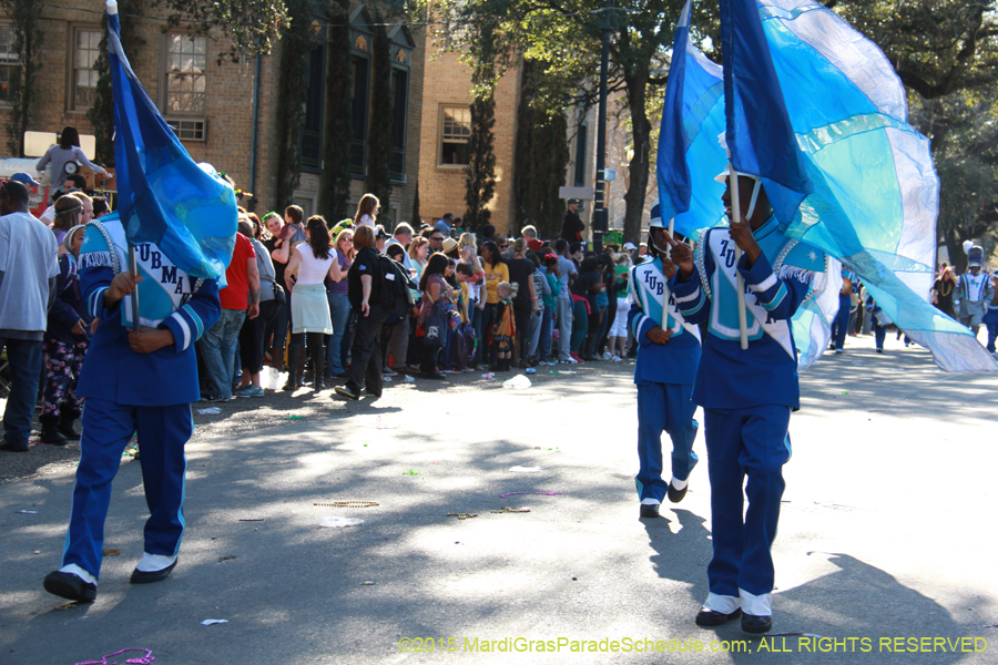 Krewe-of-Choctaw-2015-11241