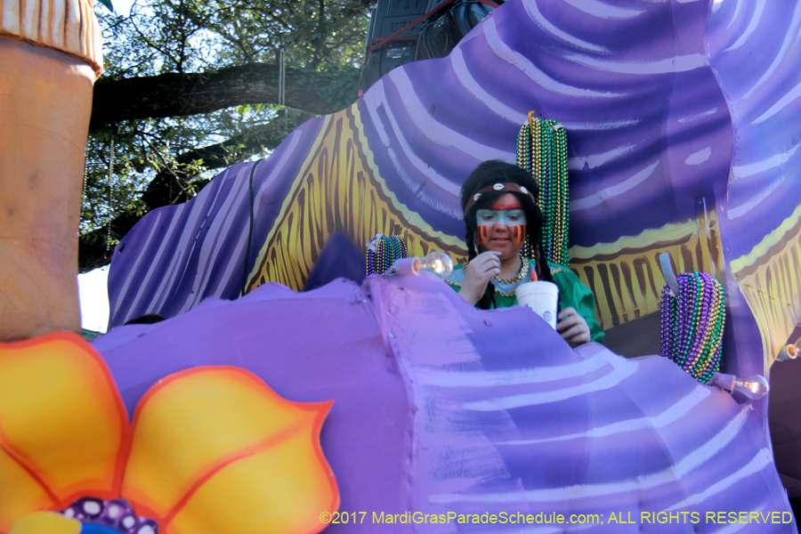 Krewe-of-Choctaw-2017-02490