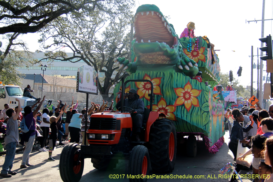 Krewe-of-Choctaw-2017-02523