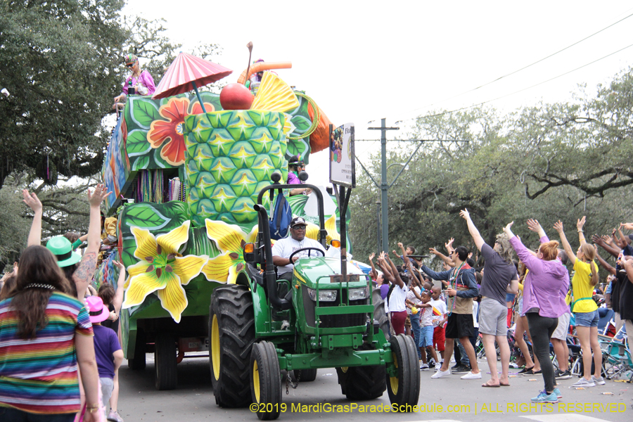 Krewe-of-Choctaw-2019-002126