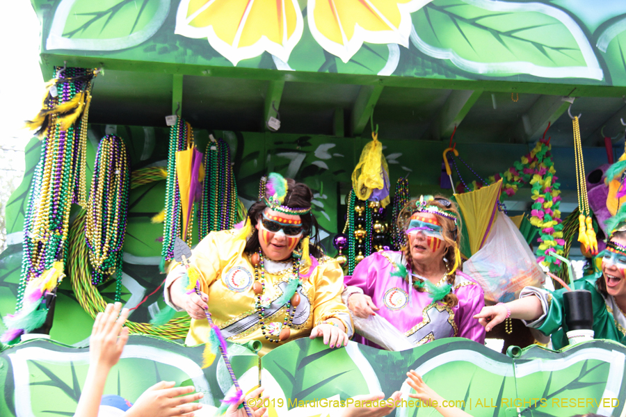 Krewe-of-Choctaw-2019-002133