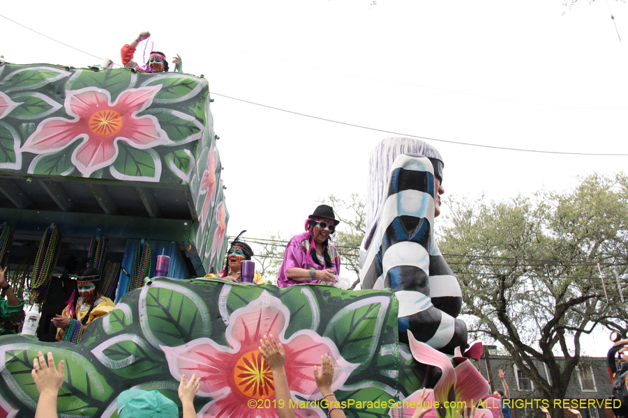 Krewe-of-Choctaw-2019-002149