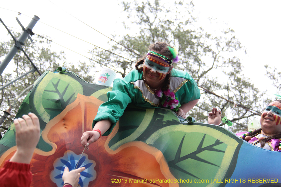 Krewe-of-Choctaw-2019-002165