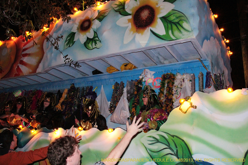 Krewe-of-Cleopatra-2013-1148