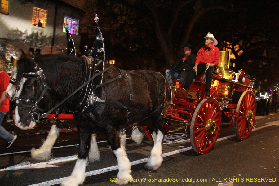 Krewe-of-Cleopatra-2019-001723