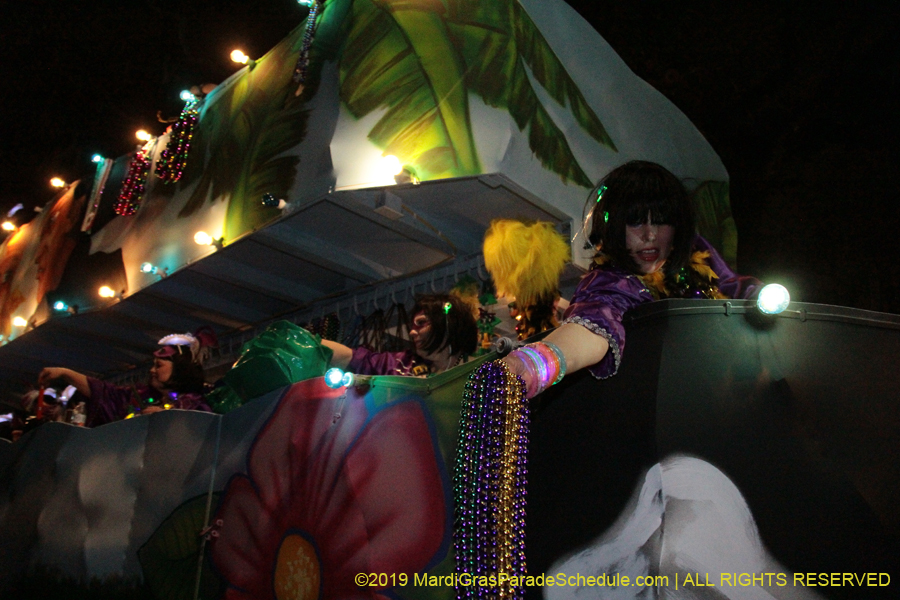 Krewe-of-Cleopatra-2019-001798