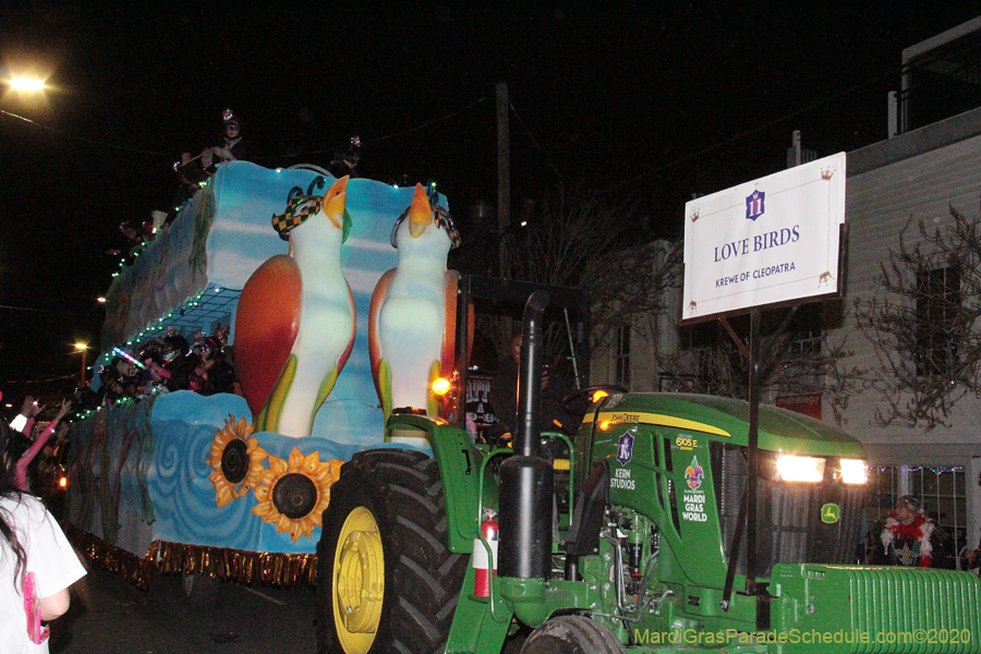 Krewe-of-Cleopatra-2020-01898