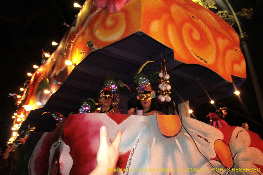 2024-Krewe-of-Cleopatra-11093