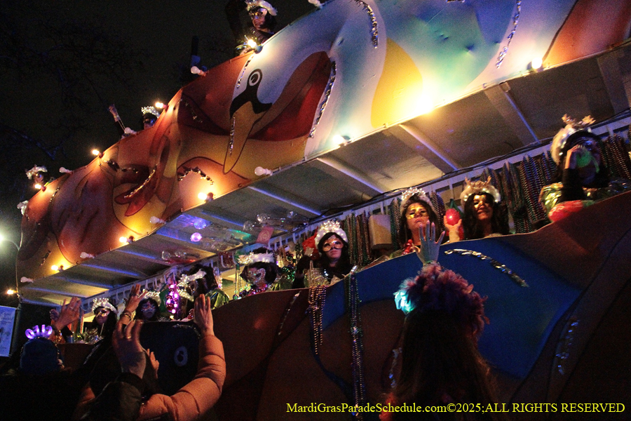 Krewe-of-Cleopatra-2025-002063