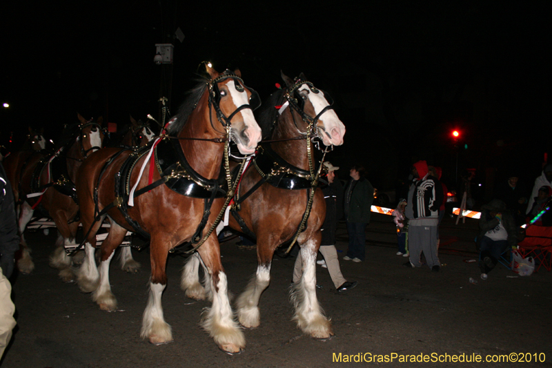 Le-Krewe-d'Etat-2010-Mardi-Gras-New-Orleans-6175