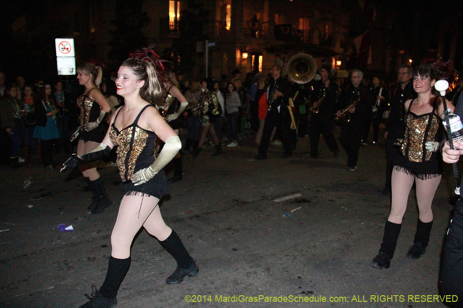 2014-Le-Krewe-dEtat11199