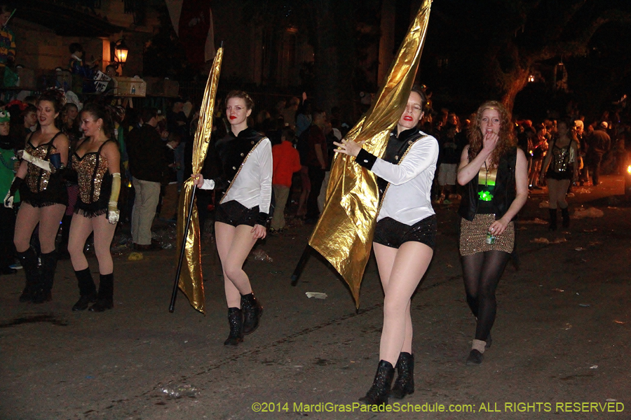 2014-Le-Krewe-dEtat11201