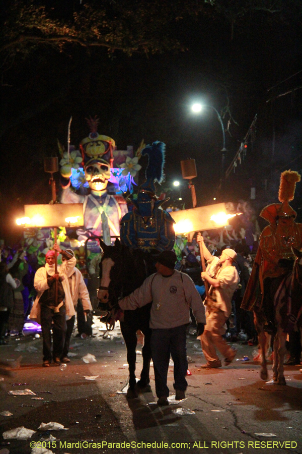 Le-Krewe-dEtat-2015-15091