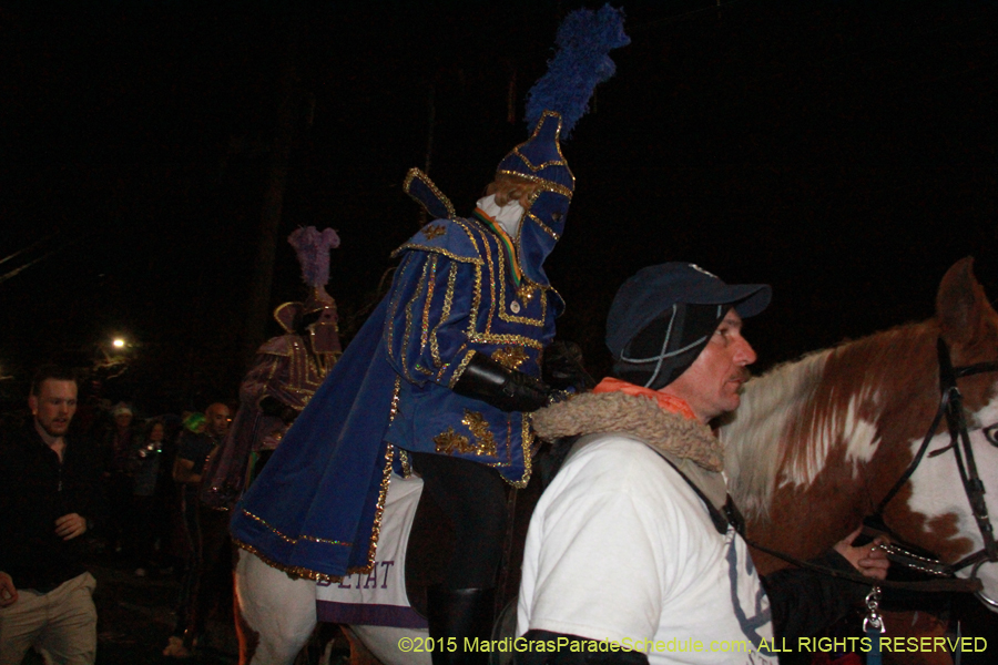 Le-Krewe-dEtat-2015-15114